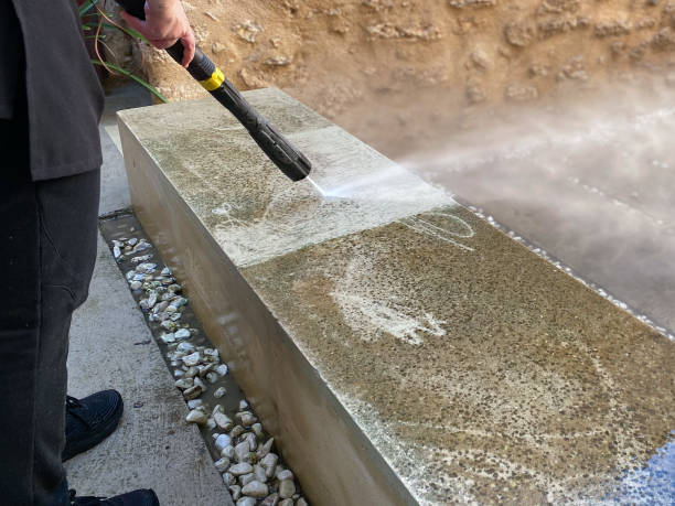 Best Power Washing Near Me  in Mount Plymouth, FL
