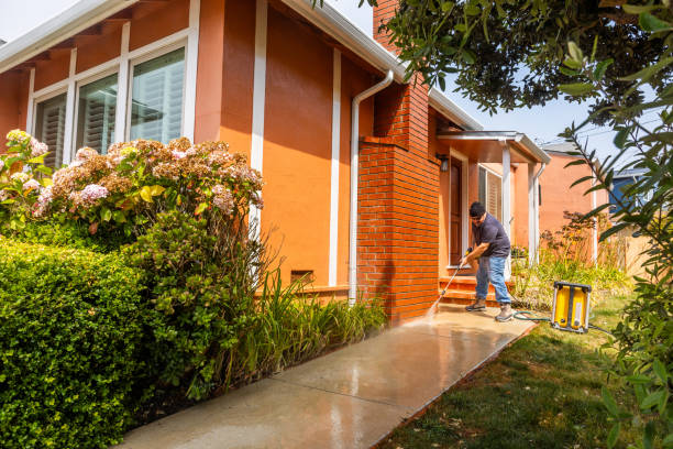 Best Deck Pressure Washing  in Mount Plymouth, FL