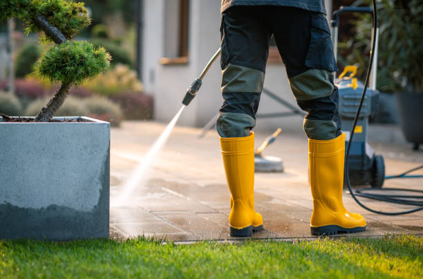 Best Sidewalk Pressure Washing  in Mount Plymouth, FL